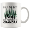 Image of [TL]  Only The Best Dads Get Promoted to Grandpa Series Mark Cup Ceramic Coffee Mug Funny Novelty Office Coffee Cup 11 oz